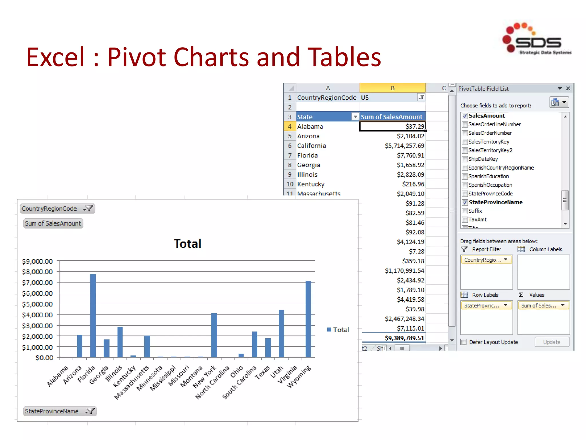 Excel : Pivot Charts and Tables
 