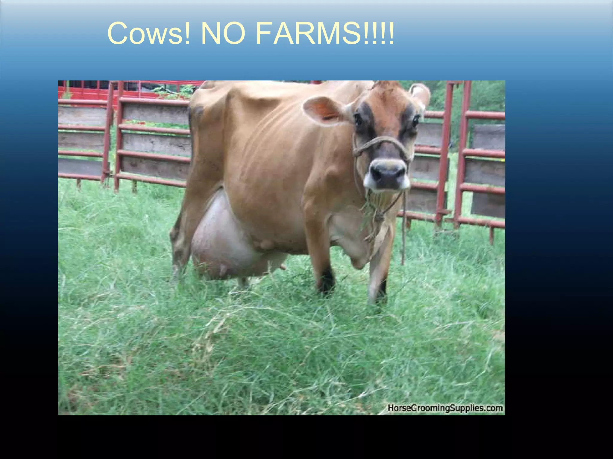 Cows! NO FARMS!!!! 
