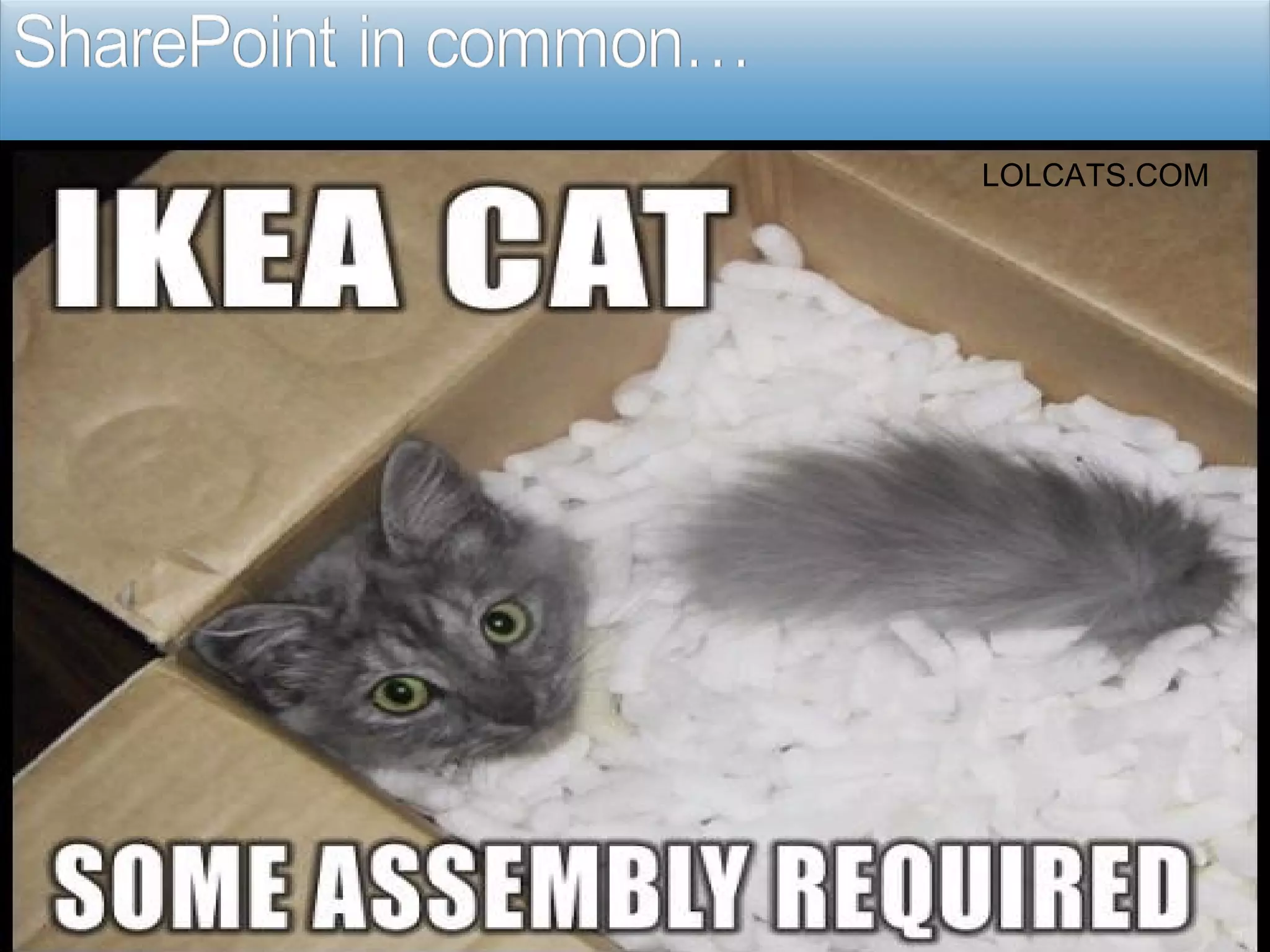 LOLCATS.COM 