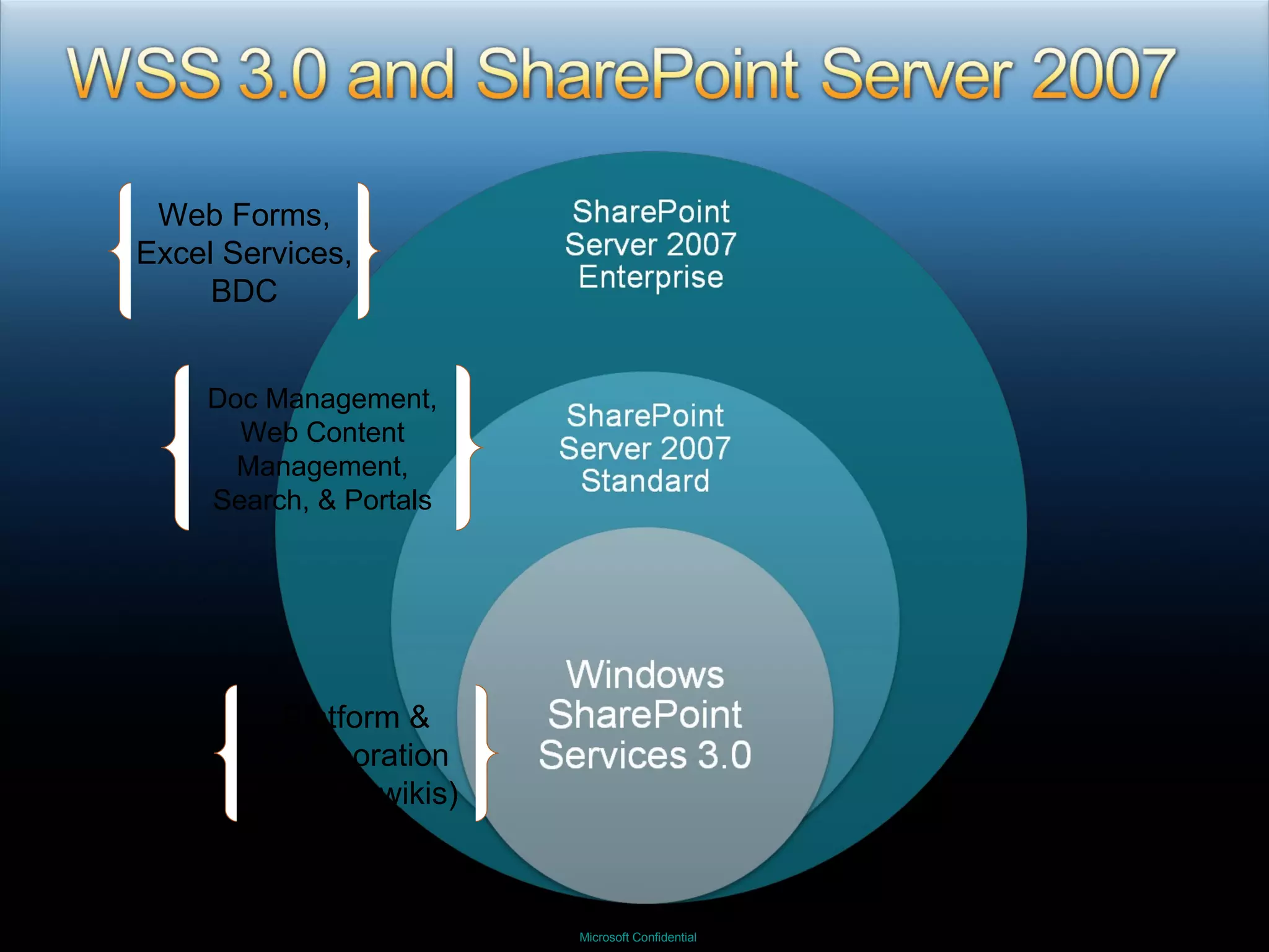 Platform & Collaboration (blogs & wikis) Doc Management, Web Content Management, Search, & Portals Web Forms, Excel Services, BDC 