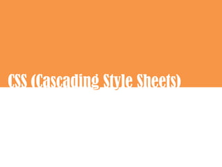 CSS (Cascading Style Sheets)
             g y
 