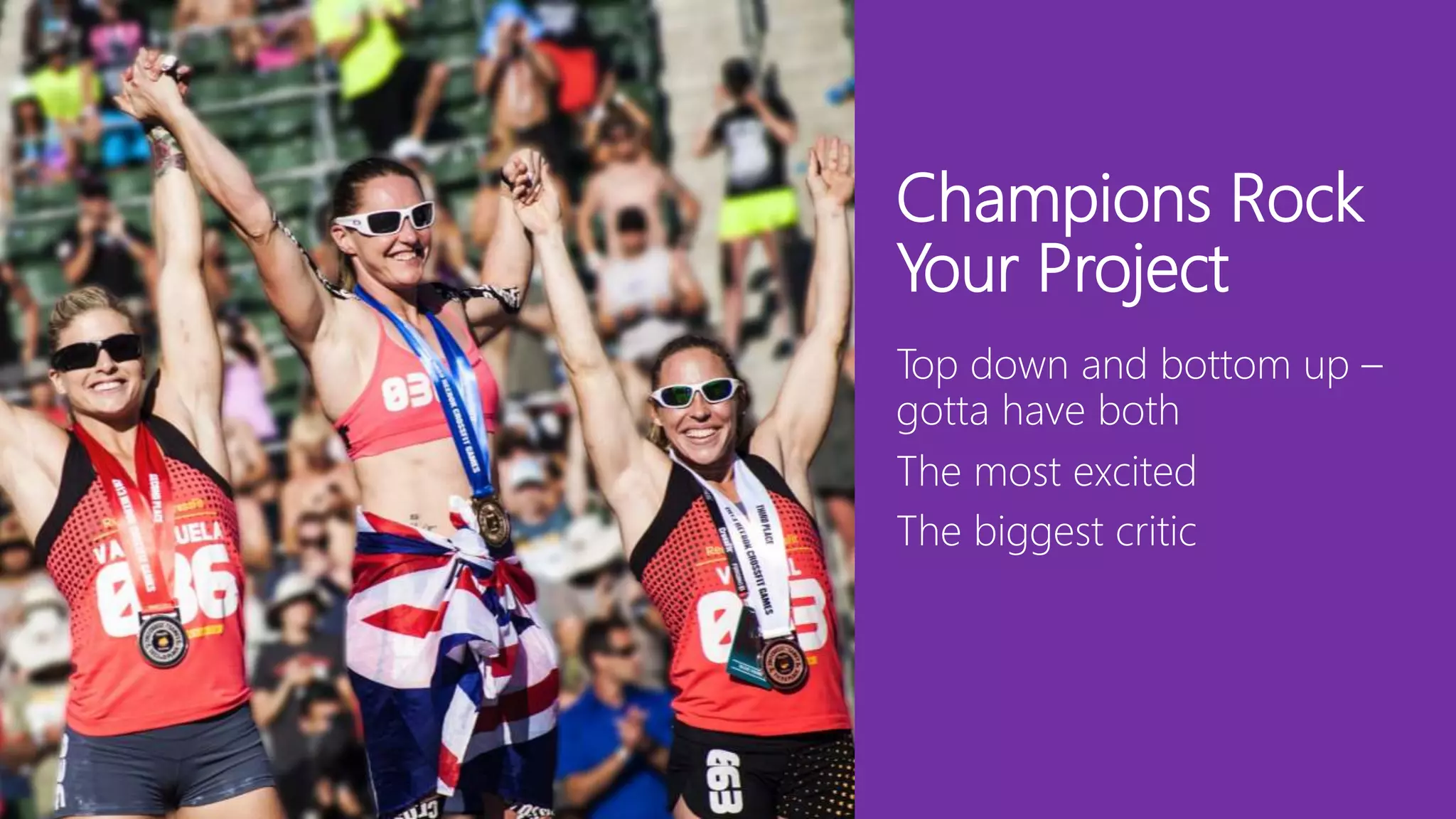 Champions Rock
Your Project
Top down and bottom up –
gotta have both
The most excited
The biggest critic
 