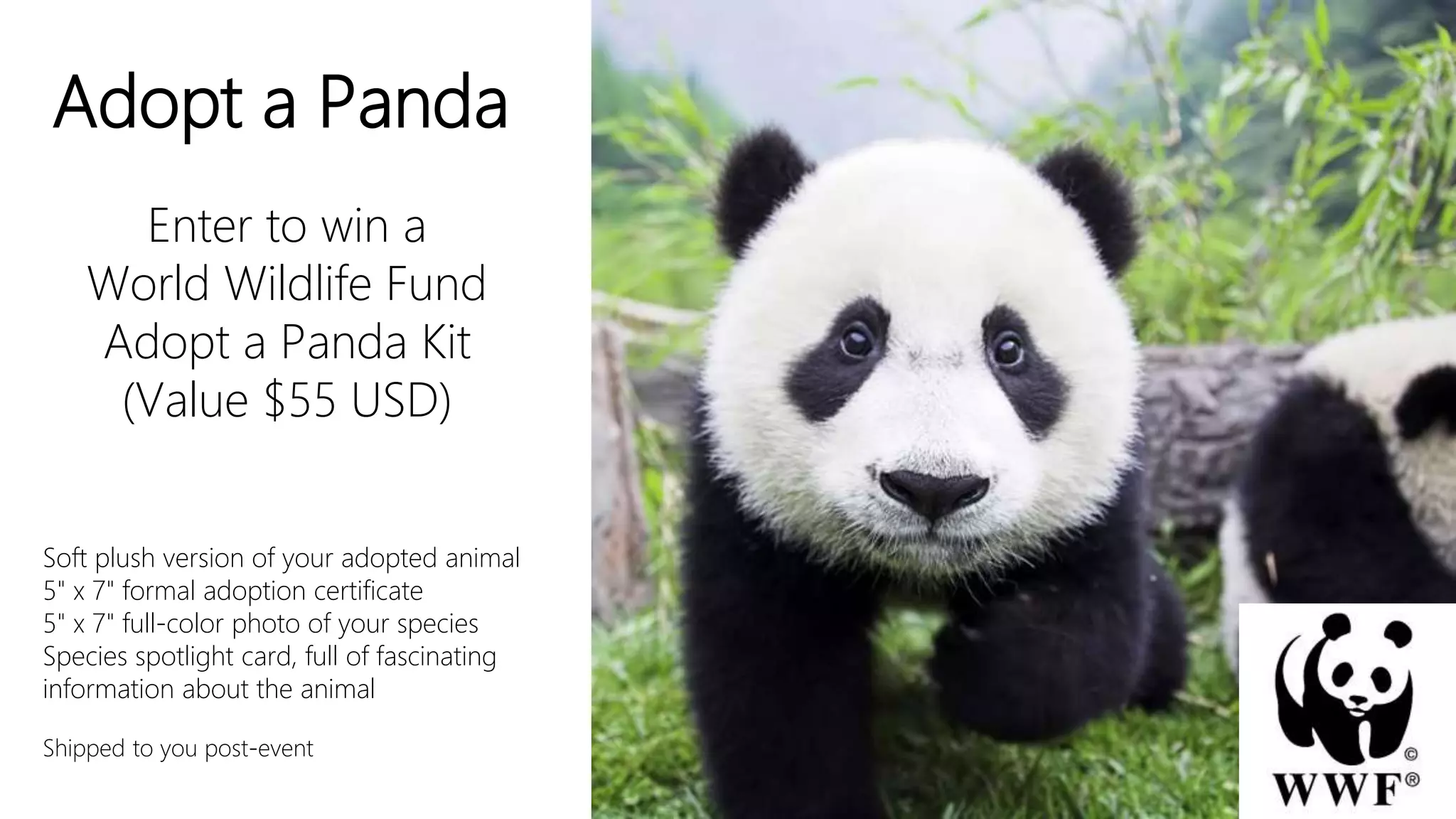 Adopt a Panda
Enter to win a
World Wildlife Fund
Adopt a Panda Kit
(Value $55 USD)
Soft plush version of your adopted animal
5" x 7" formal adoption certificate
5" x 7" full-color photo of your species
Species spotlight card, full of fascinating
information about the animal
Shipped to you post-event
 