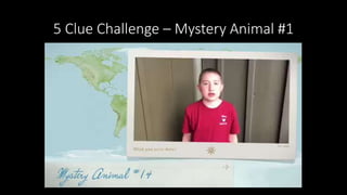5 Clue Challenge – Mystery Animal #1
 