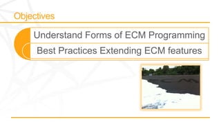 Understand Forms of ECM Programming
Best Practices Extending ECM features
 