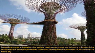 Proporcionar escala y dimensión a los jardines, mientras que casarse con la forma y la función de los
árboles maduros, los supertrees también crean altura para equilibrar los desarrollos de alto en la zona de
Marina Bay.
 