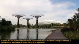 Grandes árboles están hechos de cuatro partes:-reforzar ción núcleo de hormigón, el tronco, la
plantación de los paneles de la piel viva, y de la vegetación.
 