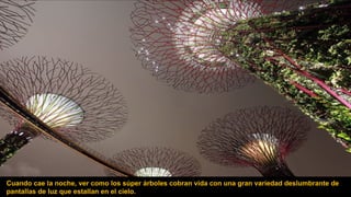 Cuando cae la noche, ver como los súper árboles cobran vida con una gran variedad deslumbrante de
pantallas de luz que estallan en el cielo.
 
