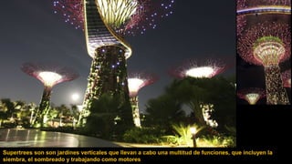 Supertrees son son jardines verticales que llevan a cabo una multitud de funciones, que incluyen la
siembra, el sombreado y trabajando como motores de bajas emisiones para los jardines.
 