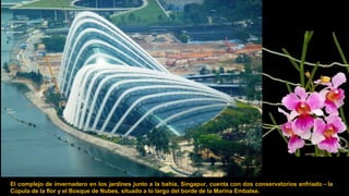 El complejo de invernadero en los jardines junto a la bahía, Singapur, cuenta con dos conservatorios enfriado - la
Cúpula de la flor y el Bosque de Nubes, situado a lo largo del borde de la Marina Embalse.
 