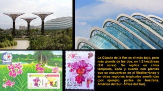 La Cúpula de la flor es el más bajo, pero
más grande de los dos, en 1.2 hectáreas
(3.0 acres). Se replica un clima
templado, seco y cuenta con plantas
que se encuentran en el Mediterráneo y
en otras regiones tropicales semiáridas
(por ejemplo, partes de Australia,
América del Sur, África del Sur).
 