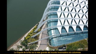 La Cúpula de la flor es la más grande del mundo invernadero sin columnas.
 