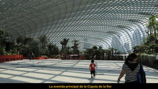 La avenida principal de la Cúpula de la flor
 