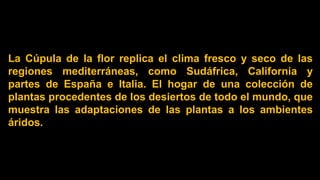 La Cúpula de la flor replica el clima fresco y seco de las
regiones mediterráneas, como Sudáfrica, California y
partes de España e Italia. El hogar de una colección de
plantas procedentes de los desiertos de todo el mundo, que
muestra las adaptaciones de las plantas a los ambientes
áridos.
 
