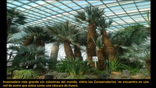 Invernadero más grande sin columnas del mundo, vidrio los Conservatorios 'se encuentra en una
red de acero que actúa como una cáscara de huevo.
 