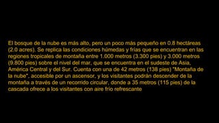 El bosque de la nube es más alto, pero un poco más pequeño en 0.8 hectáreas
(2.0 acres). Se replica las condiciones húmedas y frías que se encuentran en las
regiones tropicales de montaña entre 1.000 metros (3.300 pies) y 3.000 metros
(9.800 pies) sobre el nivel del mar, que se encuentra en el sudeste de Asia,
América Central y del Sur. Cuenta con una de 42 metros (138 pies) "Montaña de
la nube", accesible por un ascensor, y los visitantes podrán descender de la
montaña a través de un recorrido circular, donde a 35 metros (115 pies) de la
cascada ofrece a los visitantes con aire frío refrescante
 