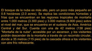 El bosque de la nube es más alto, pero un poco más pequeño en
0.8 hectáreas (2.0 acres). Se replica las condiciones húmedas y
frías que se encuentran en las regiones tropicales de montaña
entre 1.000 metros (3.300 pies) y 3.000 metros (9.800 pies) sobre
el nivel del mar, que se encuentra en el sudeste de Asia, América
Central y del Sur. Cuenta con una de 42 metros (138 pies)
"Montaña de la nube", accesible por un ascensor, y los visitantes
podrán descender de la montaña a través de un recorrido circular,
donde a 35 metros (115 pies) de la cascada ofrece a los visitantes
con aire frío refrescante.
 