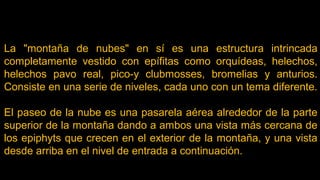 La "montaña de nubes" en sí es una estructura intrincada
completamente vestido con epífitas como orquídeas, helechos,
helechos pavo real, pico-y clubmosses, bromelias y anturios.
Consiste en una serie de niveles, cada uno con un tema diferente.
El paseo de la nube es una pasarela aérea alrededor de la parte
superior de la montaña dando a ambos una vista más cercana de
los epiphyts que crecen en el exterior de la montaña, y una vista
desde arriba en el nivel de entrada a continuación.
 