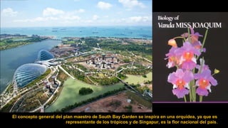 El concepto general del plan maestro de South Bay Garden se inspira en una orquídea, ya que es
representante de los trópicos y de Singapur, es la flor nacional del país.
 