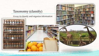 Taxonomy (classify)
A way to classify and organize information
 