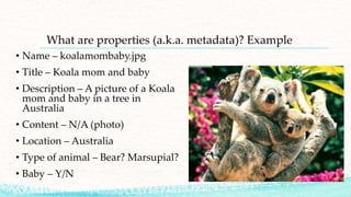 What are properties (a.k.a. metadata)? Example
• Name – koalamombaby.jpg
• Title – Koala mom and baby
• Description – A picture of a Koala
mom and baby in a tree in
Australia
• Content – N/A (photo)
• Location – Australia
• Type of animal – Bear? Marsupial?
• Baby – Y/N
 
