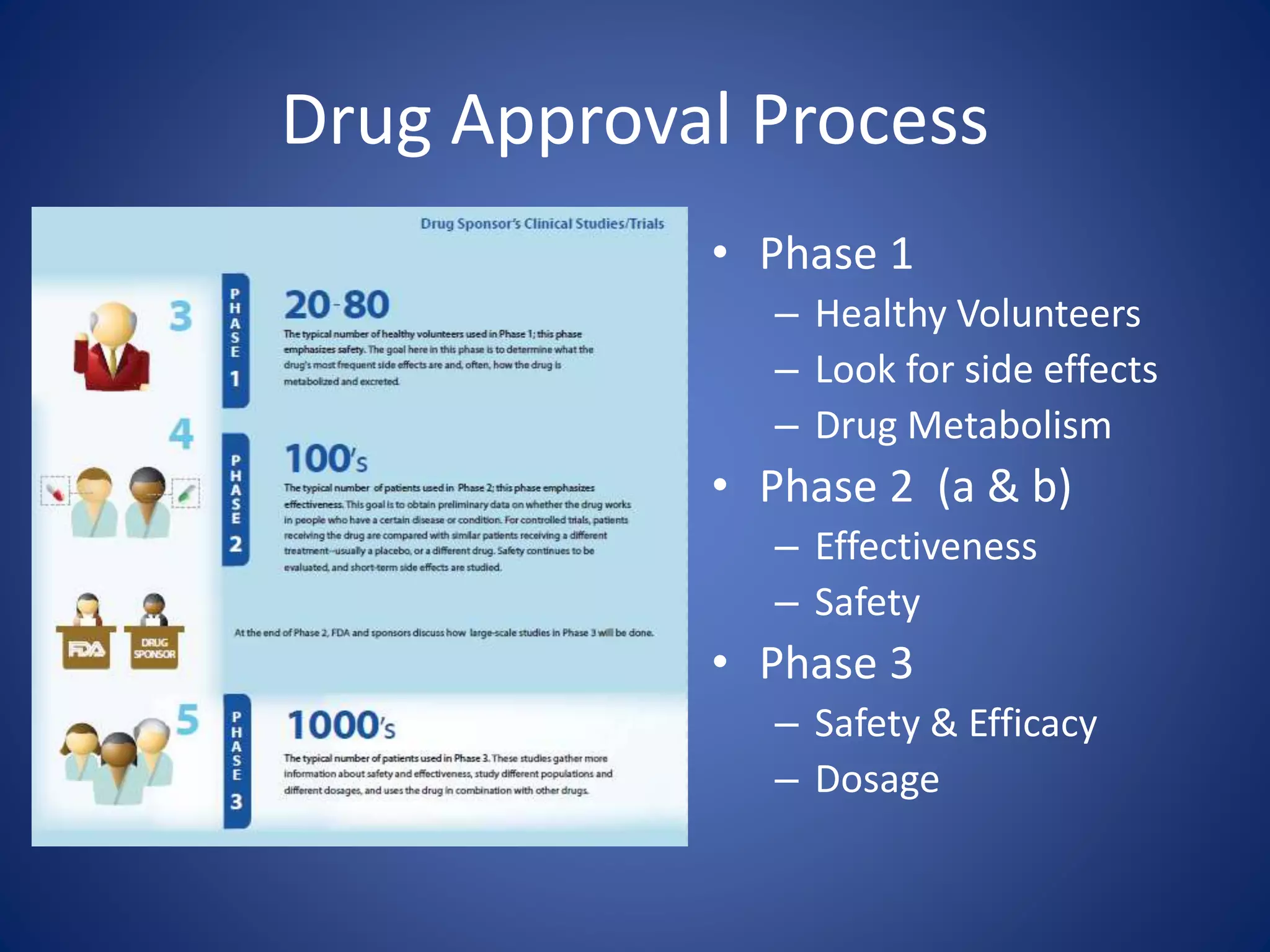 Drug Approval Process 
• Phase 1 
– Healthy Volunteers 
– Look for side effects 
– Drug Metabolism 
• Phase 2 (a & b) 
– Effectiveness 
– Safety 
• Phase 3 
– Safety & Efficacy 
– Dosage 
 