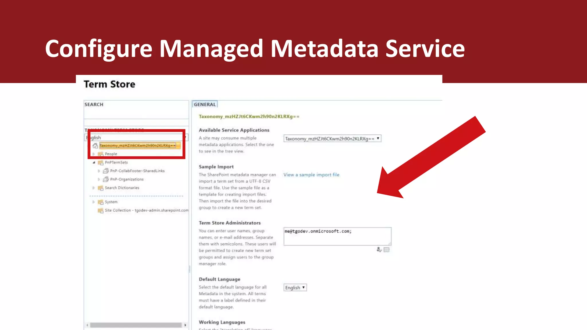 Configure Managed Metadata Service
 