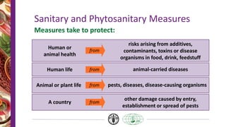 Sanitary and Phytosanitary Measures
Measures take to protect:
Human life animal-carried diseases
from
Animal or plant life pests, diseases, disease-causing organisms
from
Human or
animal health
risks arising from additives,
contaminants, toxins or disease
organisms in food, drink, feedstuff
from
A country
other damage caused by entry,
establishment or spread of pests
from
 