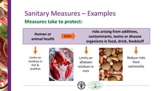 Sanitary Measures – Examples
Measures take to protect:
Human or
animal health
risks arising from additives,
contaminants, toxins or disease
organisms in food, drink, feedstuff
from
Limits on
residues in
fish &
shellfish
Limits on
aflatoxin
residues in
nuts
Reduce risks
from
salmonella
 