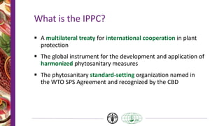 What is the IPPC?
 A multilateral treaty for international cooperation in plant
protection
 The global instrument for the development and application of
harmonized phytosanitary measures
 The phytosanitary standard-setting organization named in
the WTO SPS Agreement and recognized by the CBD
 