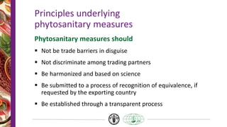 Principles underlying
phytosanitary measures
Phytosanitary measures should
 Not be trade barriers in disguise
 Not discriminate among trading partners
 Be harmonized and based on science
 Be submitted to a process of recognition of equivalence, if
requested by the exporting country
 Be established through a transparent process
 