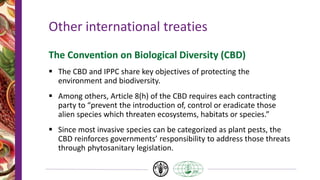 Other international treaties
The Convention on Biological Diversity (CBD)
 The CBD and IPPC share key objectives of protecting the
environment and biodiversity.
 Among others, Article 8(h) of the CBD requires each contracting
party to “prevent the introduction of, control or eradicate those
alien species which threaten ecosystems, habitats or species.”
 Since most invasive species can be categorized as plant pests, the
CBD reinforces governments’ responsibility to address those threats
through phytosanitary legislation.
 