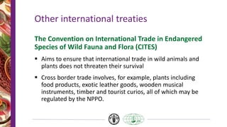 Other international treaties
The Convention on International Trade in Endangered
Species of Wild Fauna and Flora (CITES)
 Aims to ensure that international trade in wild animals and
plants does not threaten their survival
 Cross border trade involves, for example, plants including
food products, exotic leather goods, wooden musical
instruments, timber and tourist curios, all of which may be
regulated by the NPPO.
 