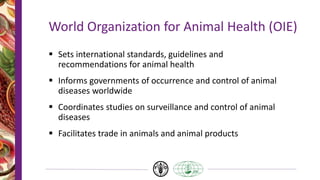 World Organization for Animal Health (OIE)
 Sets international standards, guidelines and
recommendations for animal health
 Informs governments of occurrence and control of animal
diseases worldwide
 Coordinates studies on surveillance and control of animal
diseases
 Facilitates trade in animals and animal products
 