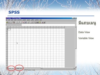 SPSS มีแถบเมนู Data View Variable View 