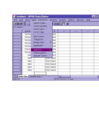 Spss | DOCX