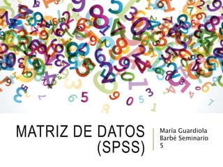 MATRIZ DE DATOS
(SPSS)
María Guardiola
Barbé Seminario
5
 