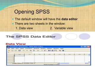 Opening SPSS
 The default window will have the data editor
 There are two sheets in the window:
1. Data view 2. Variable view
 