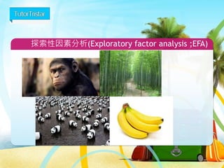 27
FB行動廣告聯播網
 