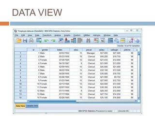 DATA VIEW
 