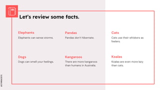 SLIDESMANIA.COM
SLIDESMANIA.COM
Let’s review some facts.
Elephants
Koalas are even more lazy
than cats.
Dogs
Elephants can sense storms.
Cats
Dogs can smell your feelings.
Pandas
Kangaroos Koalas
Pandas don’t hibernate.
There are more kangaroos
than humans in Australia.
Cats use their whiskers as
feelers.
 