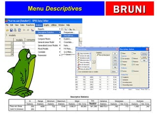 Menu  Descriptives 