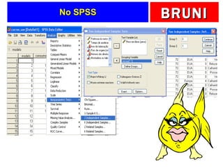 No SPSS 