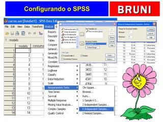 Configurando o SPSS 