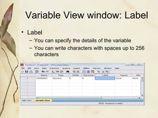 Variable View window: Label 
• Label 
– You can specify the details of the variable 
– You can write characters with spaces up to 256 
characters 
 