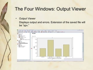 The Four Windows: Output Viewer 
• Output Viewer 
Displays output and errors. Extension of the saved file will 
be “spv.” 
 