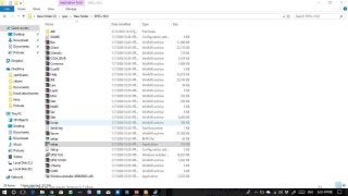 Ashok Pandey, Associate Research Fellow 34
 