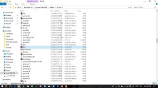 Ashok Pandey, Associate Research Fellow 44
 