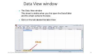 Data View window
● The Data View window
This sheet is visible when you first open the Data Editor
and this sheet contains the data
● Click on the tab labeled Variable View
Click
Ashok Pandey, Associate Research Fellow 84
 