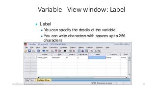 Variable View window: Label
● Label
● You can specify the details of the variable
● You can write characters with spaces up to 256
characters
Ashok Pandey, Associate Research Fellow 89
 